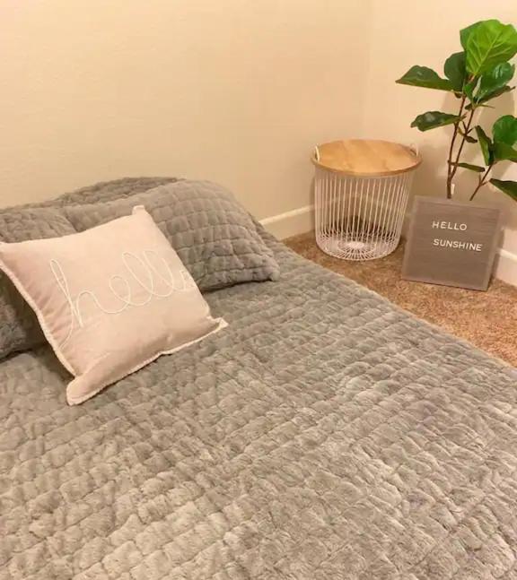Dream Family Home In South Reno 4 Bed 30 Min To Lake Tahoe Kültér fotó